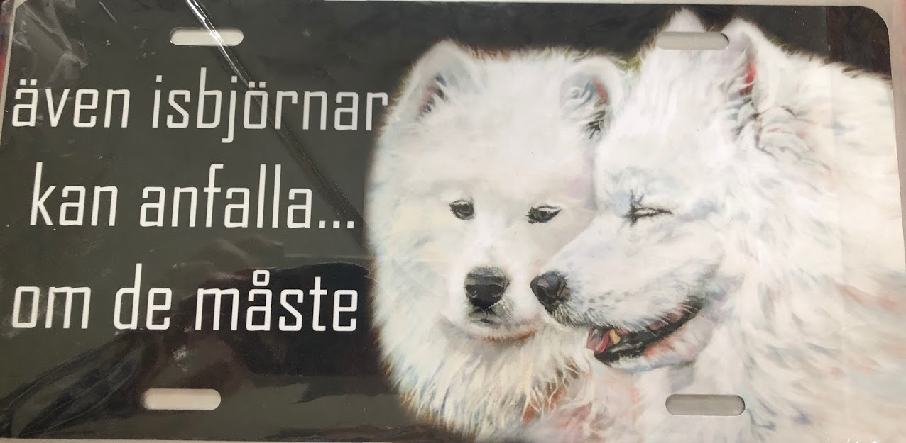 Isbjörnar